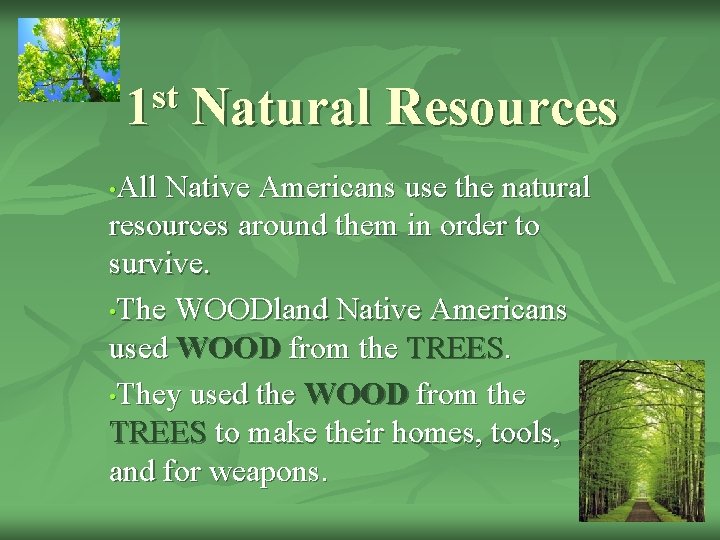 st 1 Natural Resources All Native Americans use the natural resources around them in