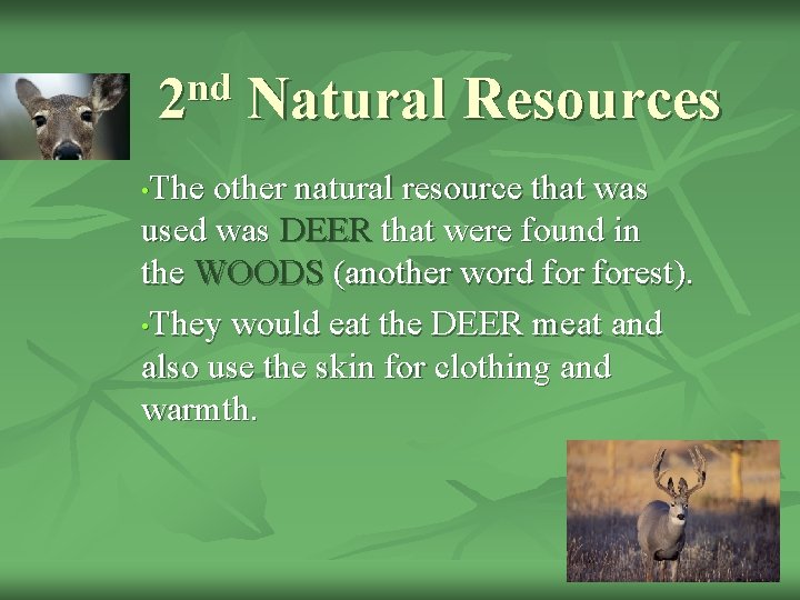 nd 2 Natural Resources The other natural resource that was used was DEER that