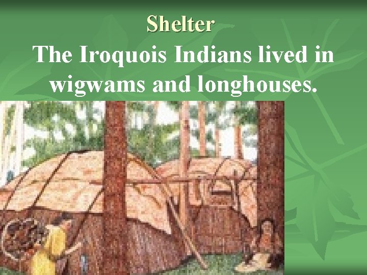 Shelter The Iroquois Indians lived in wigwams and longhouses. 