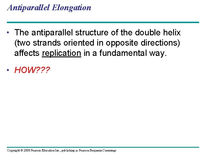 Antiparallel Elongation • The antiparallel structure of the double helix (two strands oriented in