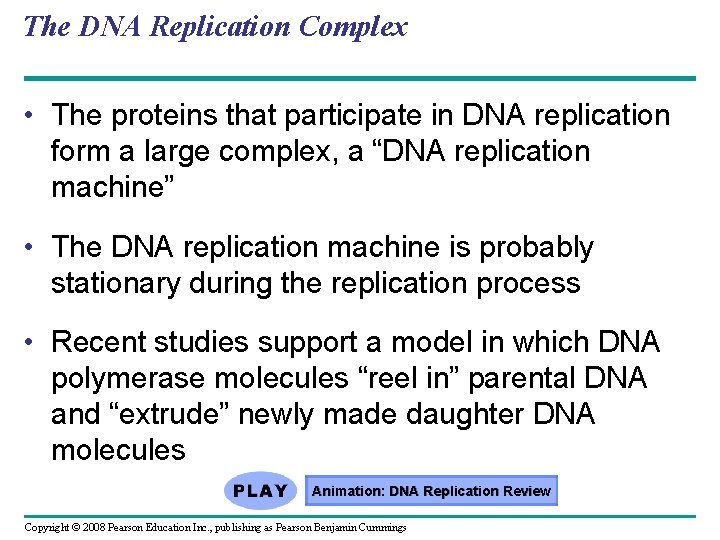 The DNA Replication Complex • The proteins that participate in DNA replication form a