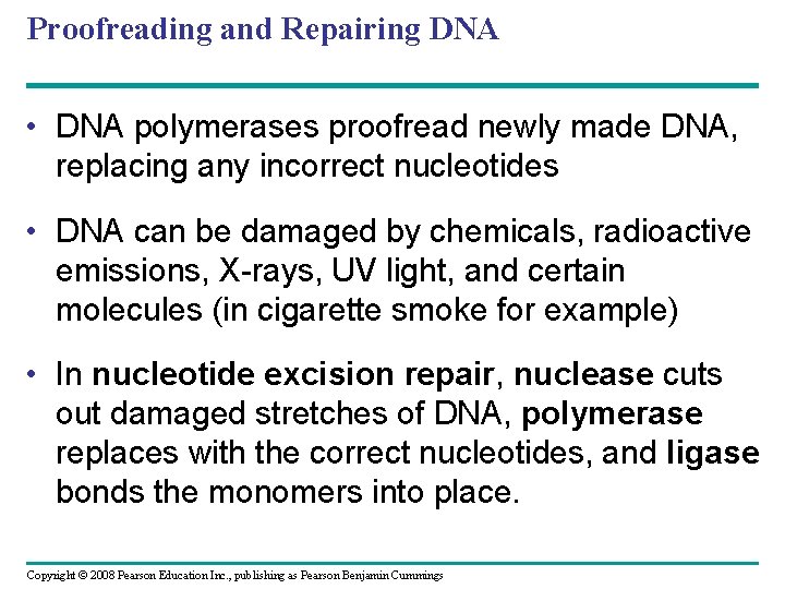 Proofreading and Repairing DNA • DNA polymerases proofread newly made DNA, replacing any incorrect