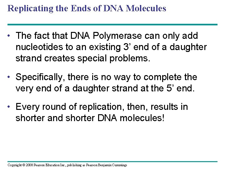Replicating the Ends of DNA Molecules • The fact that DNA Polymerase can only