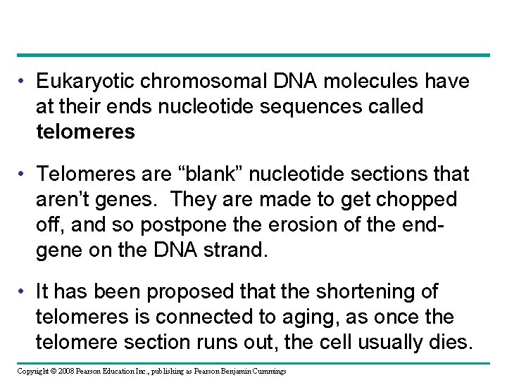  • Eukaryotic chromosomal DNA molecules have at their ends nucleotide sequences called telomeres