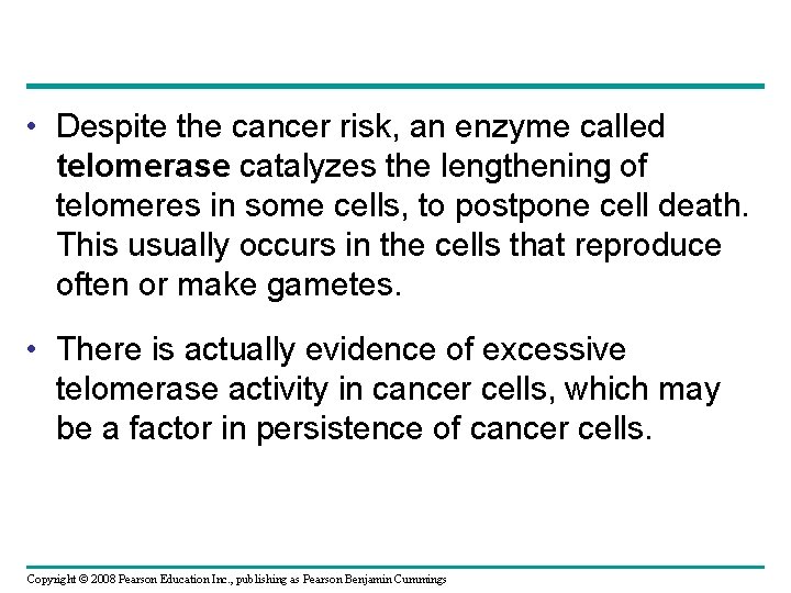  • Despite the cancer risk, an enzyme called telomerase catalyzes the lengthening of