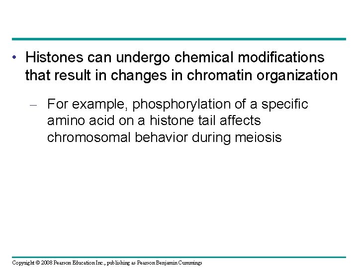  • Histones can undergo chemical modifications that result in changes in chromatin organization