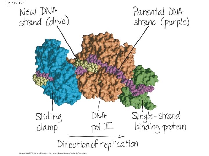 Fig. 16 -UN 5 