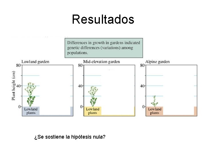 Resultados ¿Se sostiene la hipótesis nula? 