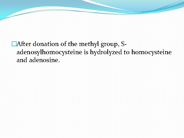 �After donation of the methyl group, Sadenosylhomocysteine is hydrolyzed to homocysteine and adenosine. 