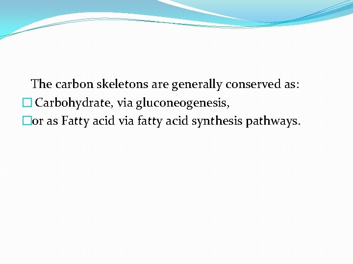 The carbon skeletons are generally conserved as: � Carbohydrate, via gluconeogenesis, �or as Fatty
