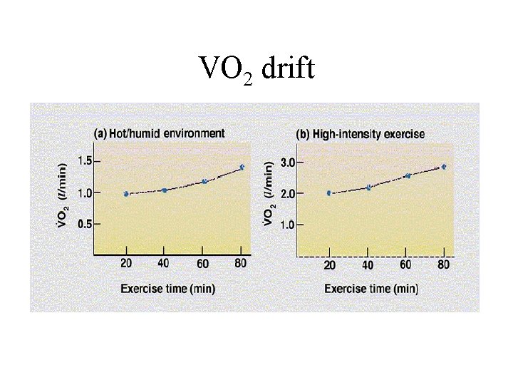 VO 2 drift 