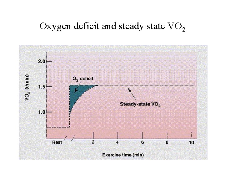 Oxygen deficit and steady state VO 2 