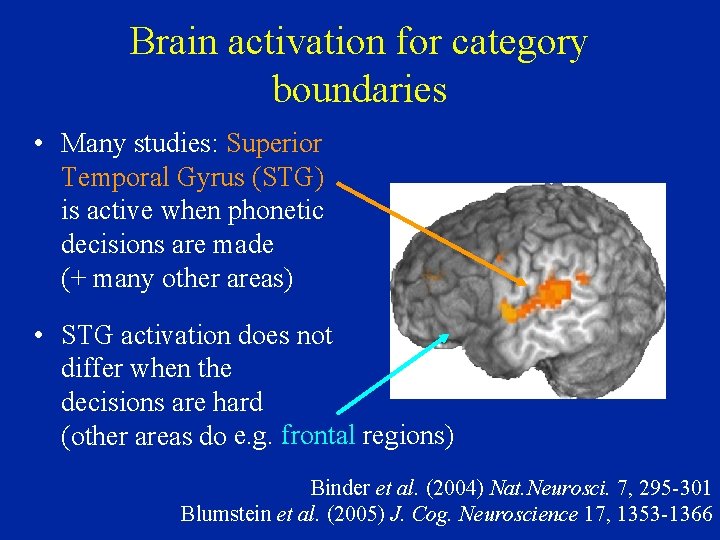 Brain activation for category boundaries • Many studies: Superior Temporal Gyrus (STG) is active