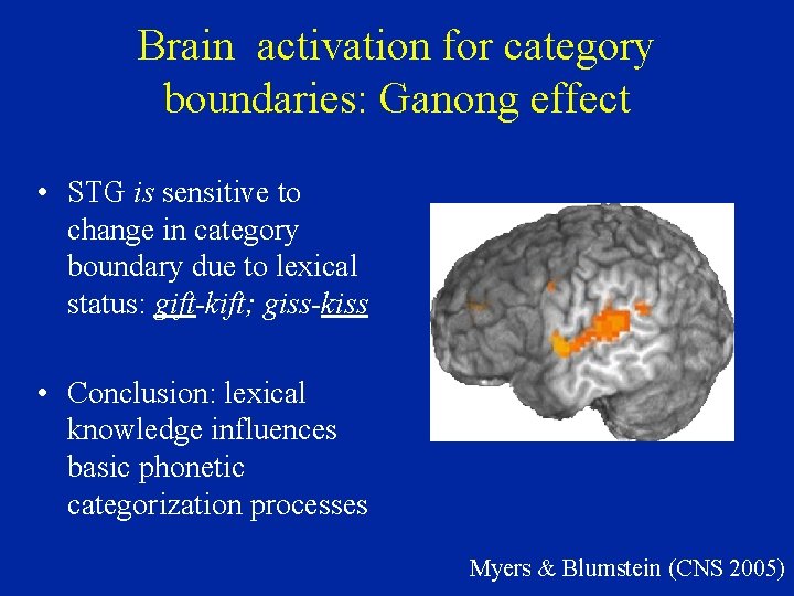 Brain activation for category boundaries: Ganong effect • STG is sensitive to change in