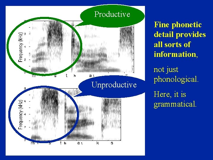 Productive Fine phonetic detail provides R sorts of R all information, m Unproductive ι