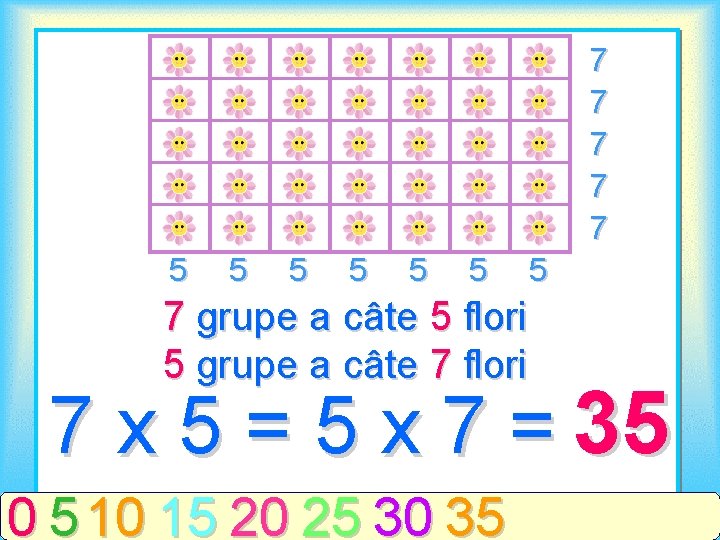 7 7 7 5 5 5 7 grupe a câte 5 flori 5 grupe