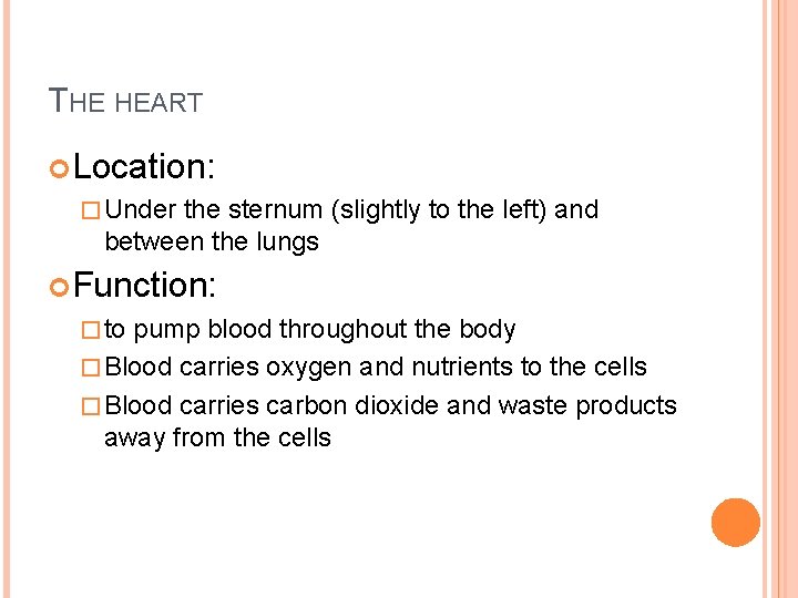 THE HEART Location: � Under the sternum (slightly to the left) and between the