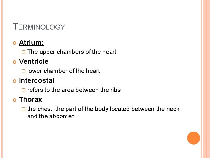 TERMINOLOGY Atrium: � The upper chambers of the heart Ventricle � lower Intercostal �