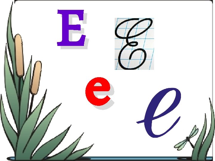 E e 