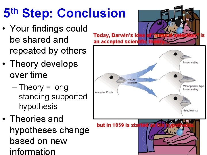 5 th Step: Conclusion • Your findings could be shared and repeated by others