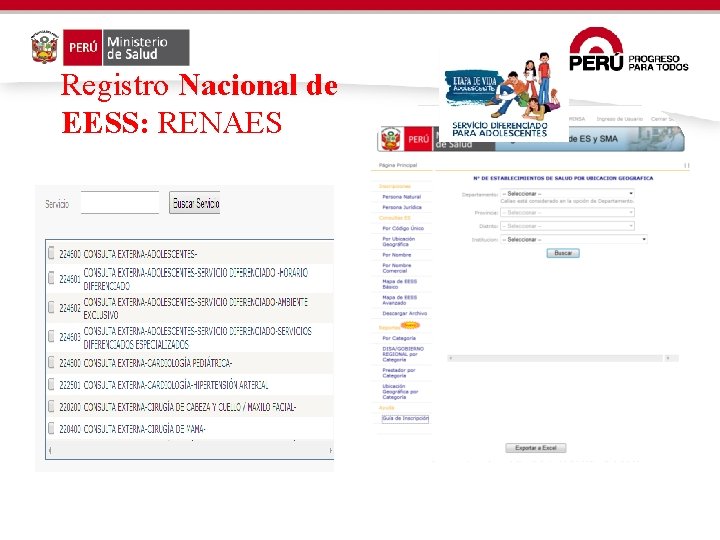 Registro Nacional de EESS: RENAES 