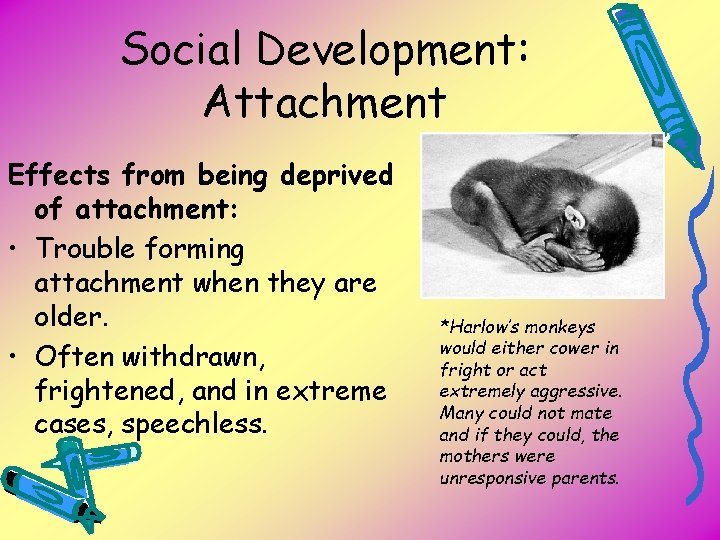 Social Development: Attachment Effects from being deprived of attachment: • Trouble forming attachment when