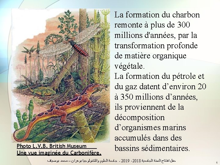 Photo L. V. B. British Museum Une vue imaginée du Carbonifère. La formation du