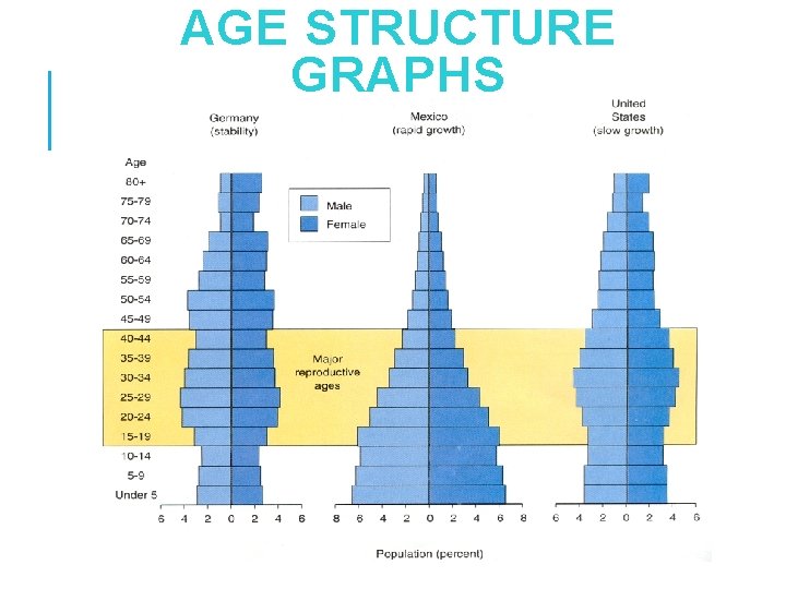 AGE STRUCTURE GRAPHS 