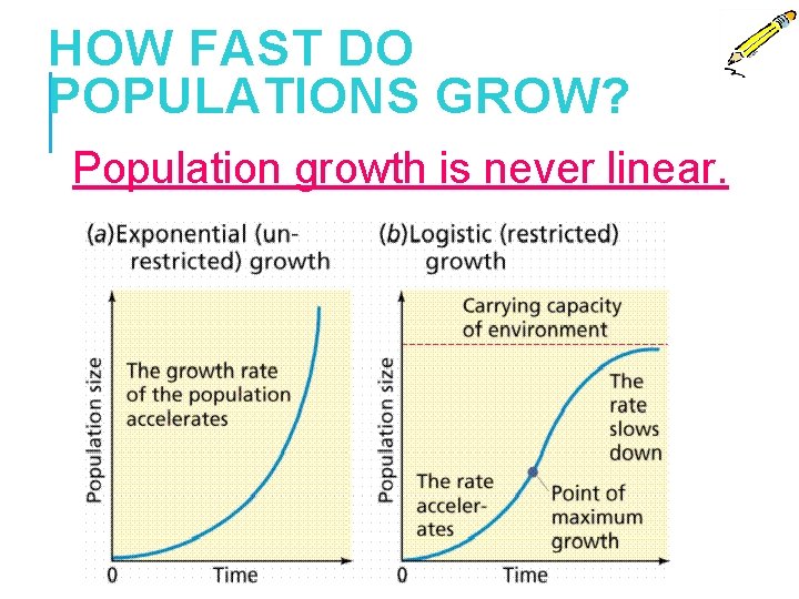 HOW FAST DO POPULATIONS GROW? Population growth is never linear. Carrying Capacity Number of