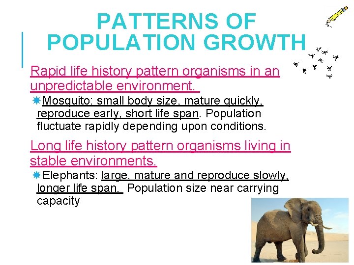 PATTERNS OF POPULATION GROWTH Rapid life history pattern organisms in an unpredictable environment. Mosquito: