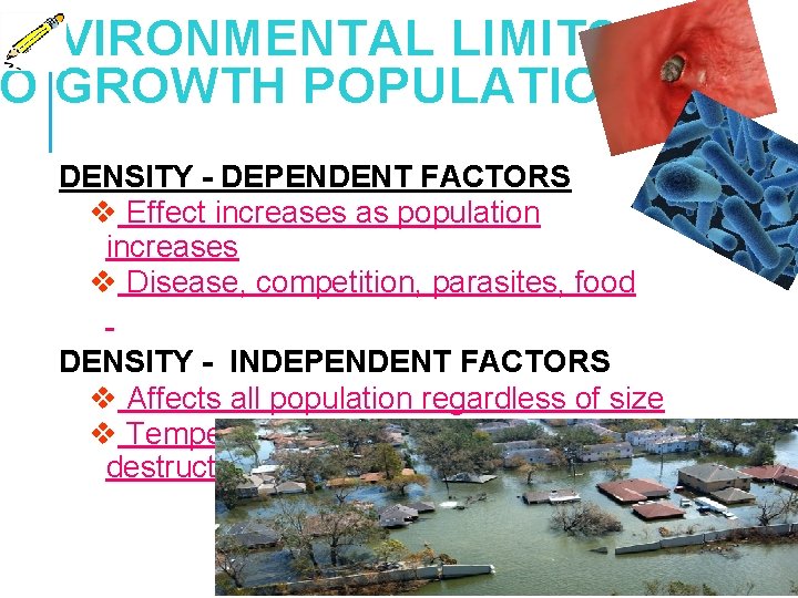 ENVIRONMENTAL LIMITS O GROWTH POPULATION DENSITY - DEPENDENT FACTORS v Effect increases as population