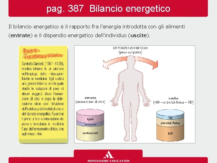 pag. 387 Bilancio energetico Il bilancio energetico è il rapporto fra l’energia introdotta con
