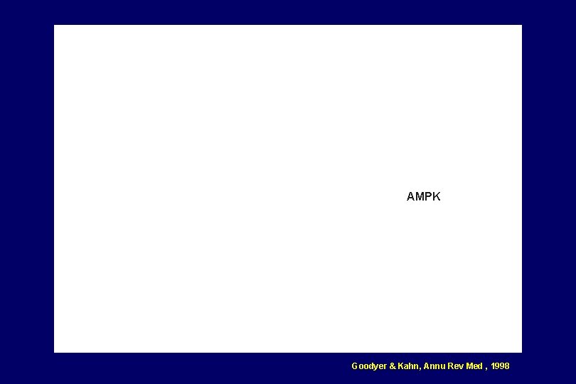 AMPK Goodyer & Kahn, Annu Rev Med , 1998 