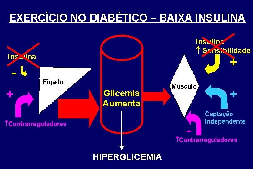 EXERCÍCIO NO DIABÉTICO – BAIXA INSULINA Insulina Sensibilidade Insulina - + Fígado + Glicemia