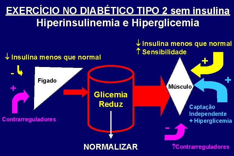 EXERCÍCIO NO DIABÉTICO TIPO 2 sem insulina Hiperinsulinemia e Hiperglicemia Insulina menos que normal