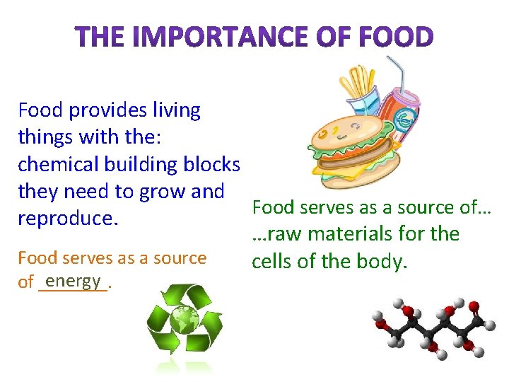 Food provides living things with the: chemical building blocks they need to grow and