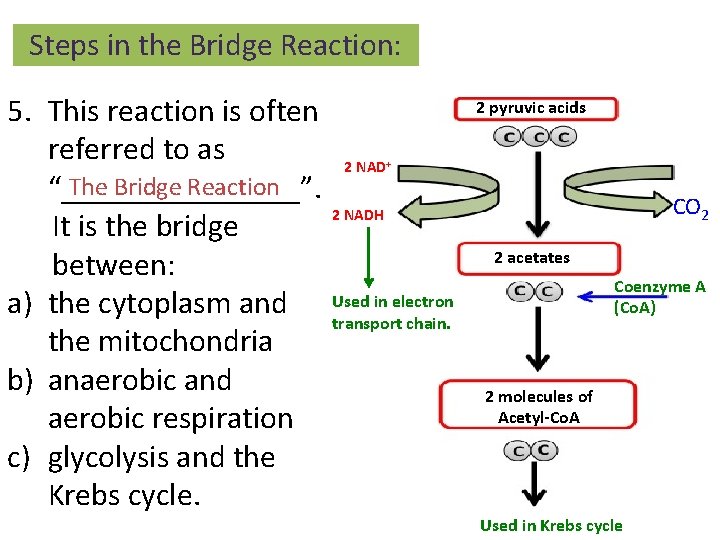 Steps in the Bridge Reaction: 5. This reaction is often referred to as 2