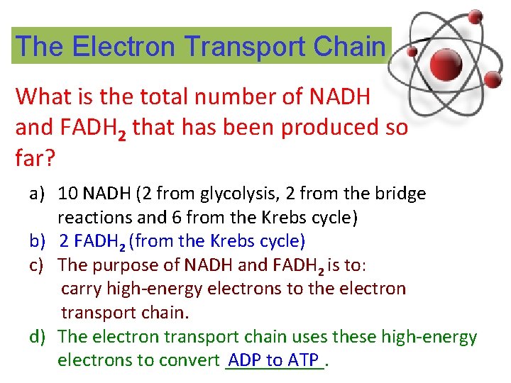 The Electron Transport Chain What is the total number of NADH and FADH 2