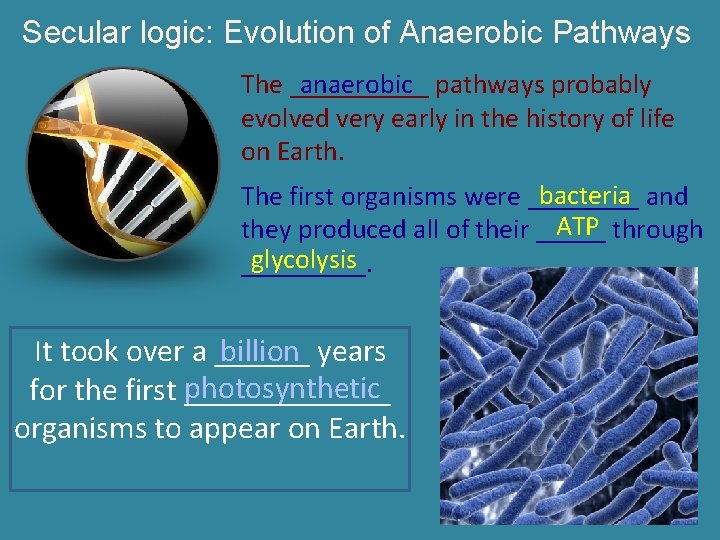 Secular logic: Evolution of Anaerobic Pathways anaerobic The _____ pathways probably evolved very early