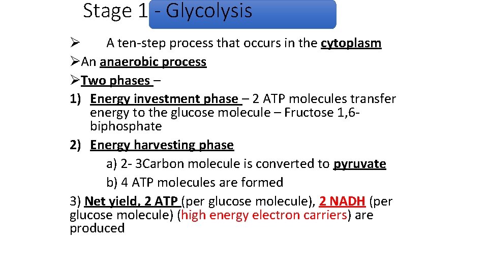 Stage 1 - Glycolysis Ø A ten-step process that occurs in the cytoplasm ØAn