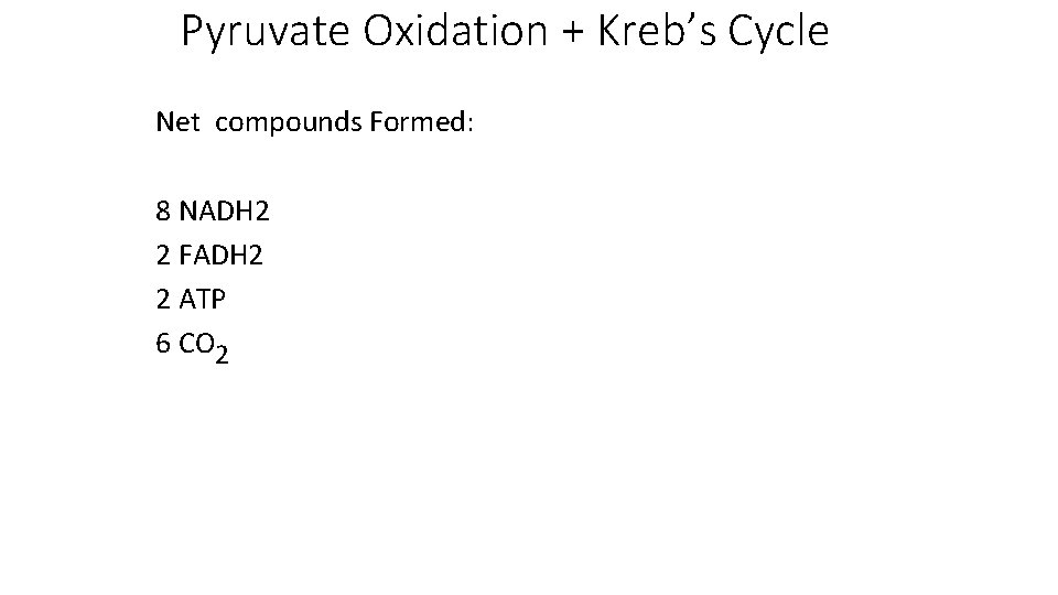 Pyruvate Oxidation + Kreb’s Cycle Net compounds Formed: 8 NADH 2 2 FADH 2