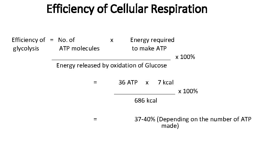 Efficiency of Cellular Respiration Efficiency of = No. of x Energy required glycolysis ATP