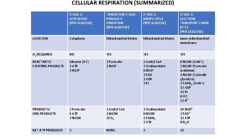 CELLULAR RESPIRATION (SUMMARIZED) STAGE 1: GLYCOLYSIS (PER GLUCOSE) TRANSITION STAGE: PYRUVATE OXIDATION (PER GLUCOSE)