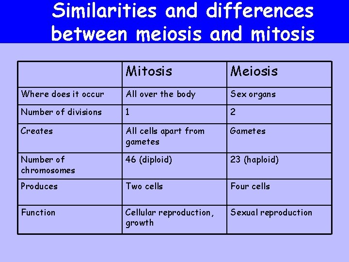 Similarities and differences between meiosis and mitosis Meiosis Where does it occur All over
