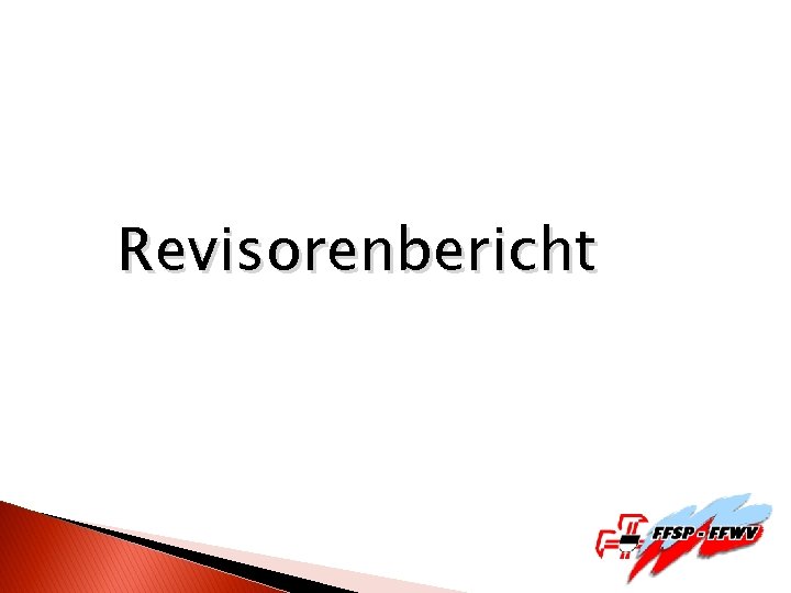 Revisorenbericht 