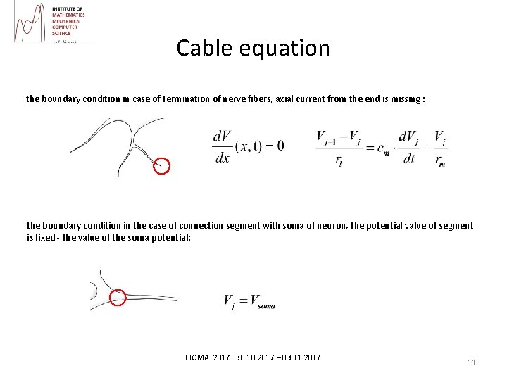 Cable equation the boundary condition in case of termination of nerve fibers, axial current
