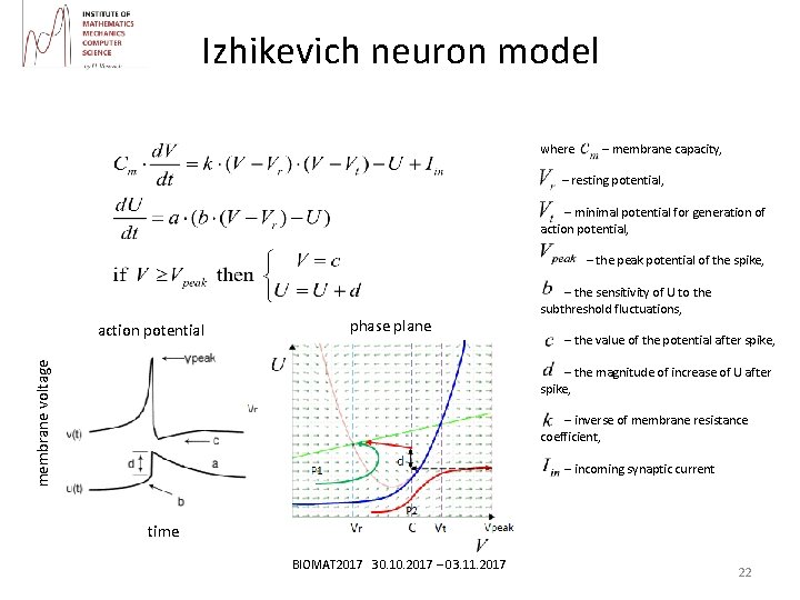 Izhikevich neuron model where – membrane capacity, – resting potential, – minimal potential for