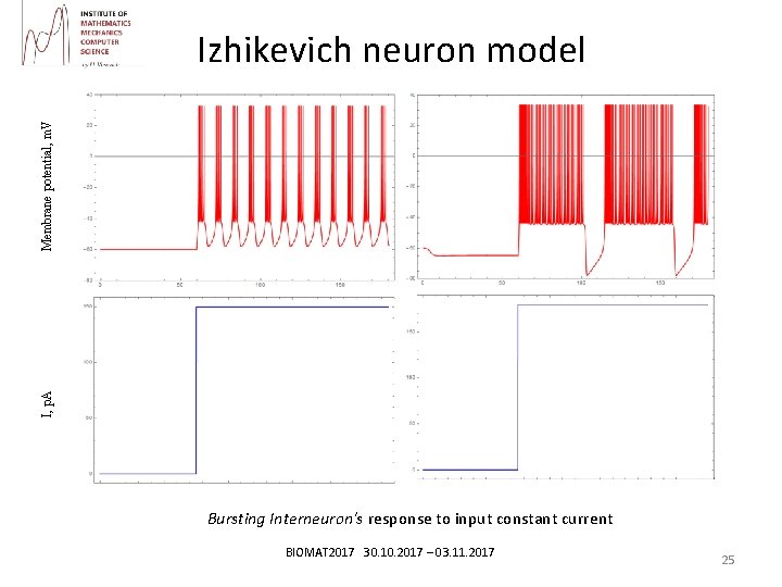 I, p. A Membrane potential, m. V Izhikevich neuron model Bursting Interneuron's response to