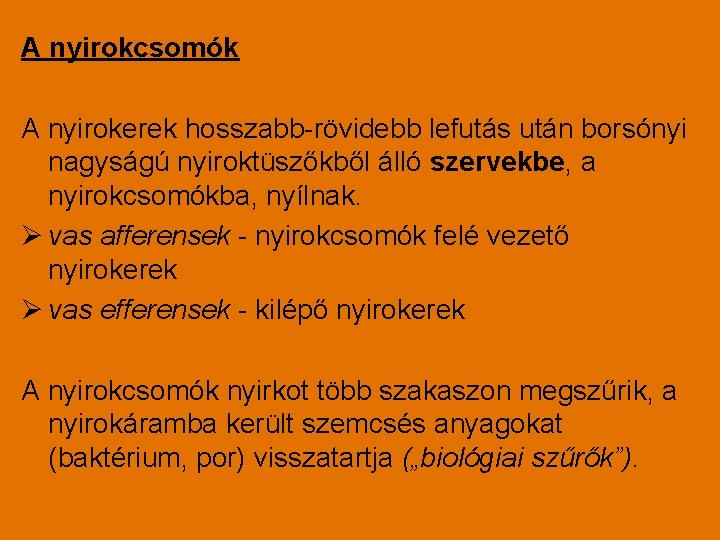 A nyirokcsomók A nyirokerek hosszabb-rövidebb lefutás után borsónyi nagyságú nyiroktüszőkből álló szervekbe, a nyirokcsomókba,