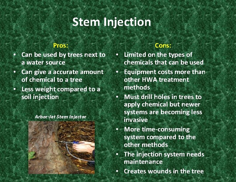 Stem Injection Pros: • Can be used by trees next to a water source